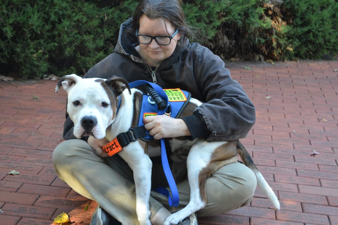 owner trained assistance dogs
